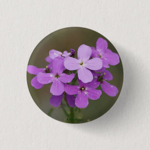 F19 Purple Wildflowers Dames Rocket 1 Inch Round Button