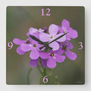 F19 Purple Wildflowers Dames Rocket Square Wall Clock