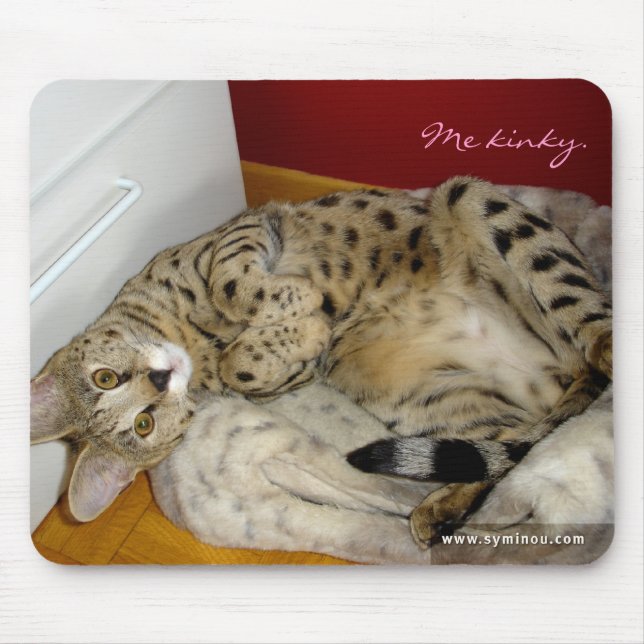 F1 Savannah Cat kinky Mousepad (Front)