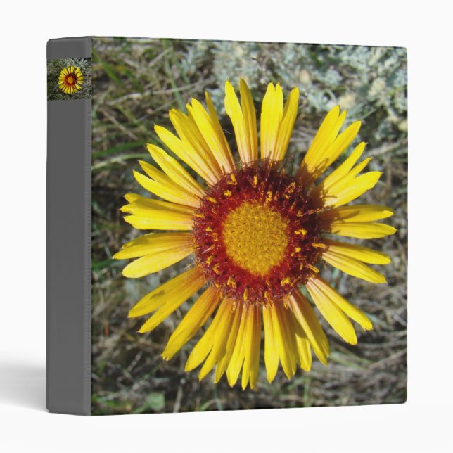 F1 Yellow Wildflower Binder Gaillardia (Front/Spine)