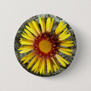 F1 Yellow Wildflower Gaillardia 2 Inch Round Button