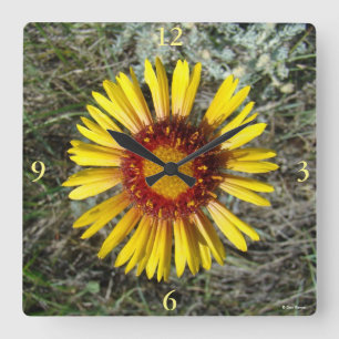 F1 Yellow Wildflower Gaillardia Square Wall Clock