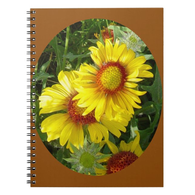 F27 Yellow Wildflowers Gaillardia Notebook (Front)