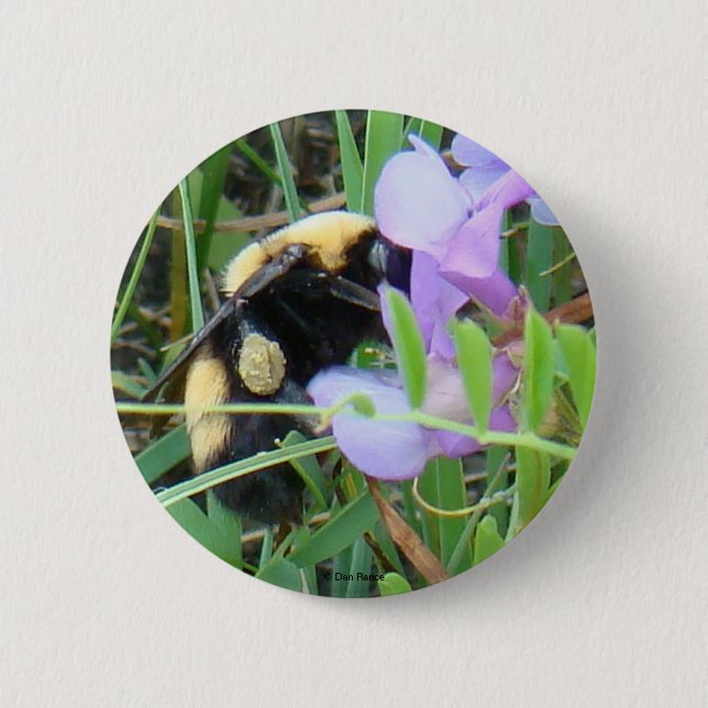 F2 Bee on Purple Wildflowers 2 Inch Round Button (Front)