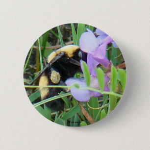 F2 Bee on Purple Wildflowers 2 Inch Round Button