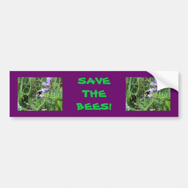 F2 Bee on Purple Wildflowers Bumper Sticker (Front)