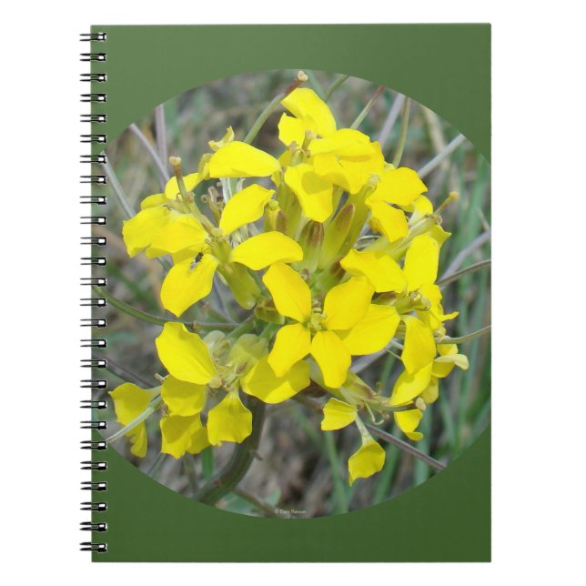 F33w Yellow Wildflowers Notebook (Front)