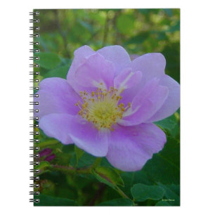 F37 Wild Rose Notebook