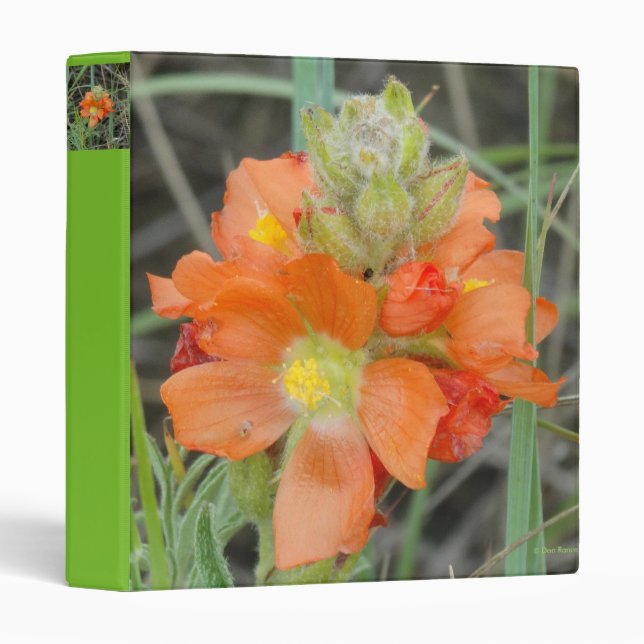 F40 Orange Wildflowers Scarlet Mallow Binder (Front/Spine)