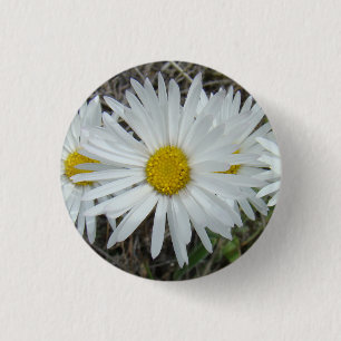 F42 White Wildflowers Smooth Aster 1 Inch Round Button