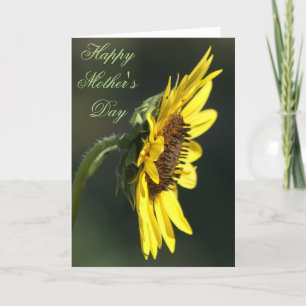 F43 Yellow Wildflower Black-eyed Susan Card