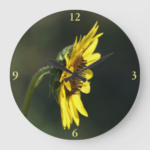 F43 Yellow Wildflower Black-eyed Susan Large Clock