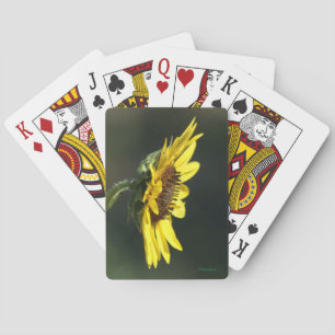F43 Yellow Wildflower Black-eyed Susan Playing Cards