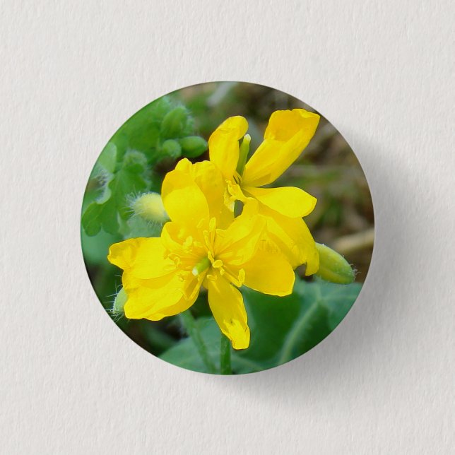 F44 Yellow Wildflowers Wild Mustard 1 Inch Round Button (Front)