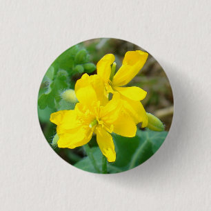 F44 Yellow Wildflowers Wild Mustard 1 Inch Round Button