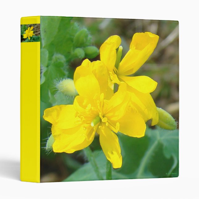 F44 Yellow Wildflowers Wild Mustard Binder (Front/Spine)