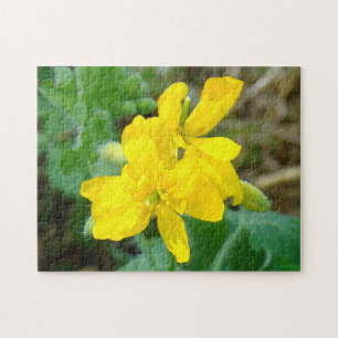 F44 Yellow Wildflowers Wild Mustard Jigsaw Puzzle
