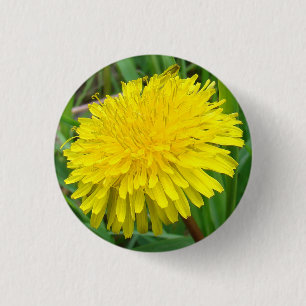 F45 Dandelion "Taraxacum officinale" 1 Inch Round Button