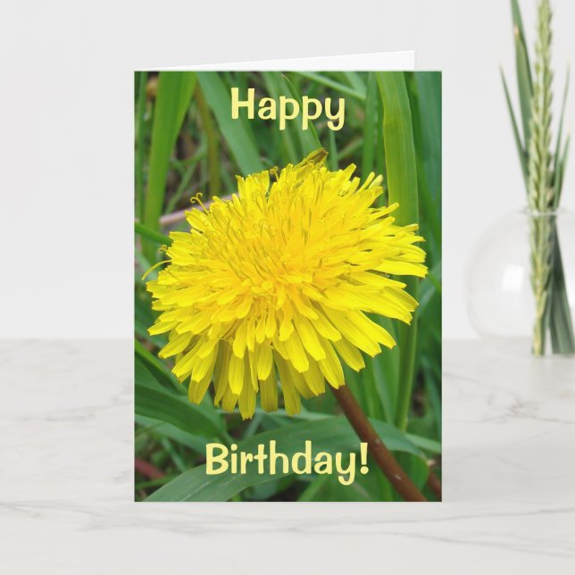 F45 Dandelion "Taraxacum officinale" Card (Front)