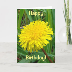 F45 Dandelion "Taraxacum officinale" Card