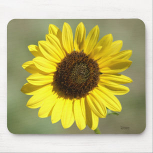 F47 Yellow Wildflower Common Annual Sunflower Mouse Pad