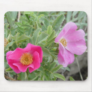 F4 Wild Roses Mouse Pad