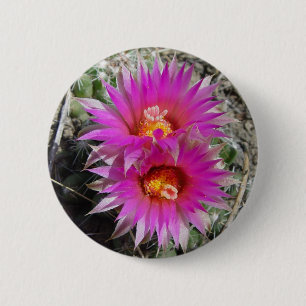F5 Ball Cactus Flowers "Escobaria vivipara" 2 Inch Round Button