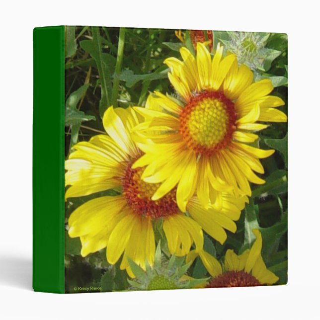 F6 Yellow Wildflowers Gaillardia Binder (Front/Spine)