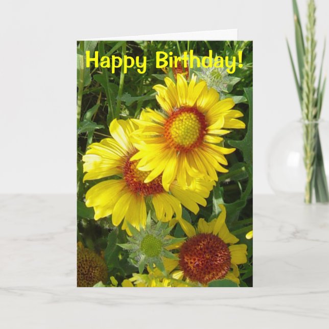 F6 Yellow Wildflowers Gaillardia Card (Front)