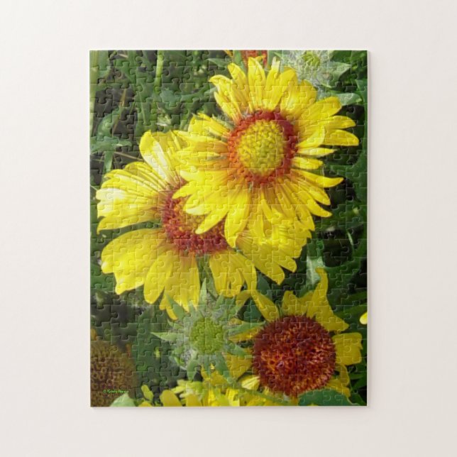F6 Yellow Wildflowers Gaillardia Jigsaw Puzzle (Vertical)