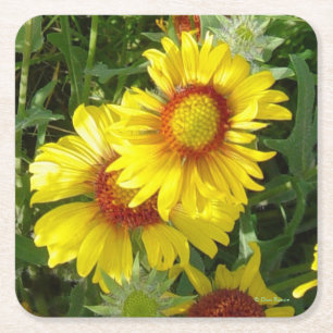 F6 Yellow Wildflowers Square Paper Coaster
