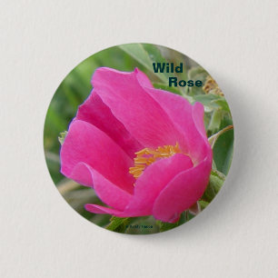 F7 Alberta Wild Rose 2 Inch Round Button
