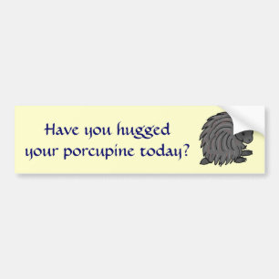 F7- Have you hugged porcupine bumper sticker