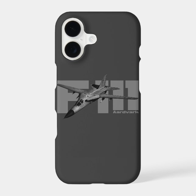 F-111 Aardvark (Back)