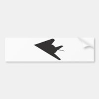 F-117 Stealth Fighter