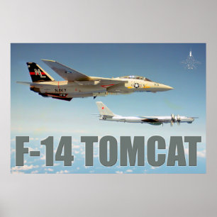 F-14 POSTER "OURS" TOMCAT