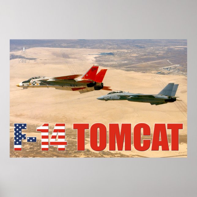 F-14 POSTER TOMCAT "WINGMAN" (Devant)