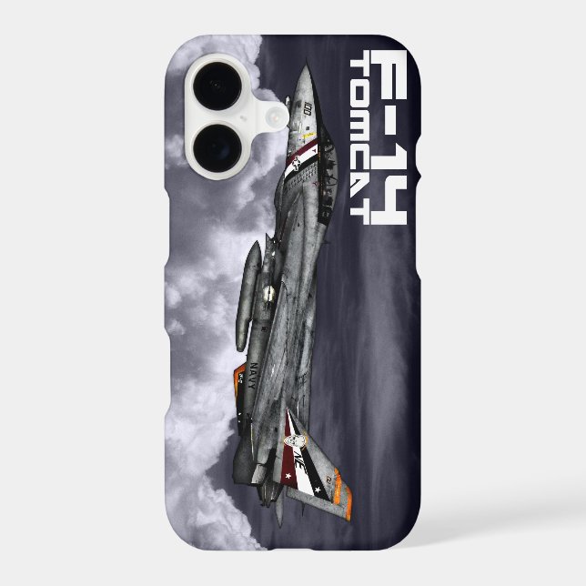 F-14 Tomcat (Back)
