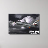 F-14 Tomcat