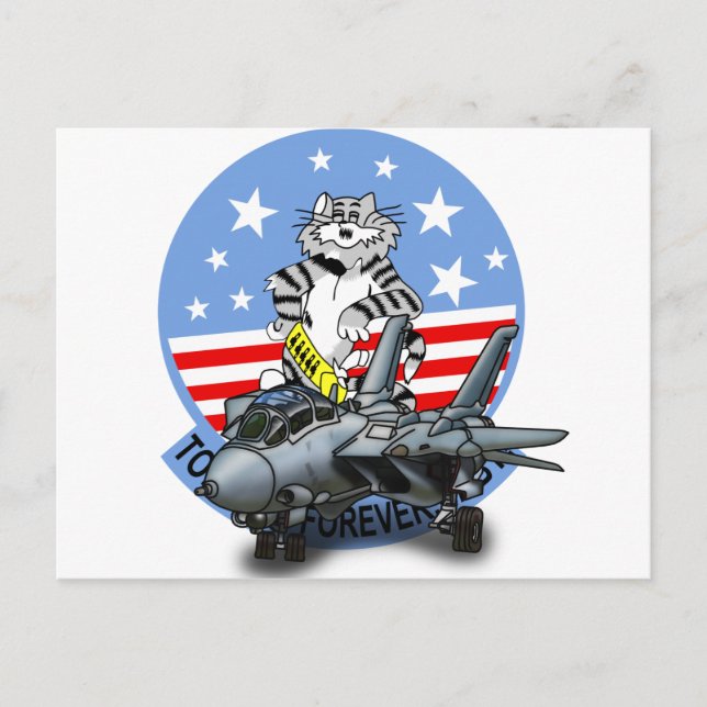 F-14 TOMCAT Forever Postcard (Front)
