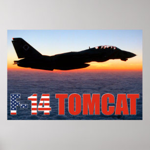 F-14 TOMCAT "SUNSET PATROL" POSTER