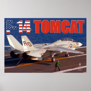 F-14 TOMCAT "TRAP" POSTER