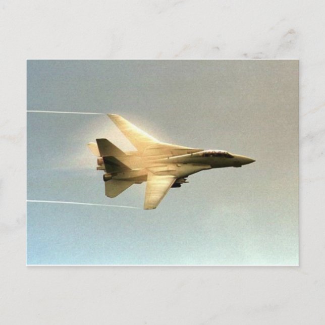 F-14 TOMCAT WITH VAPOR POSTCARD (Front)