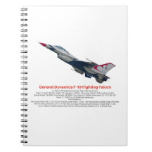 F-16 Fighting Falcon Fighter Jet