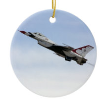 F-16 Thunderbird In Flight