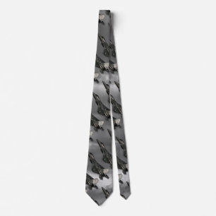 F-22 RAPTOR NECK TIE