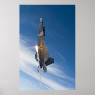 F-22 Raptor Poster