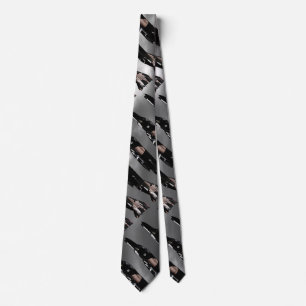 F-4 Phantom II Custom Ties