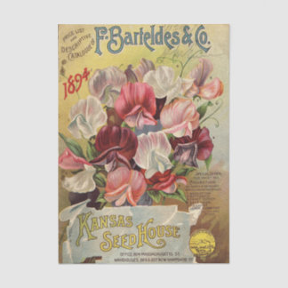 F. Barteldes & Co 1894 Vintage Seed Catalog Tissue Paper