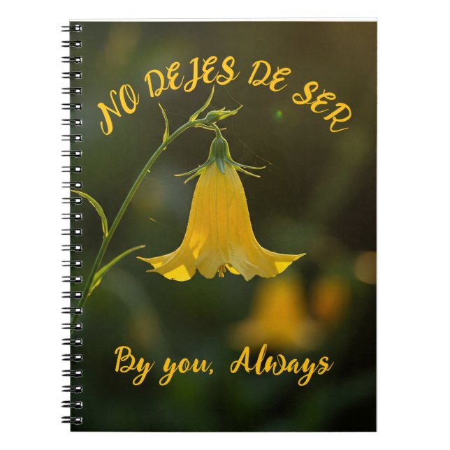 F.C.Yellow Notebook (Front)